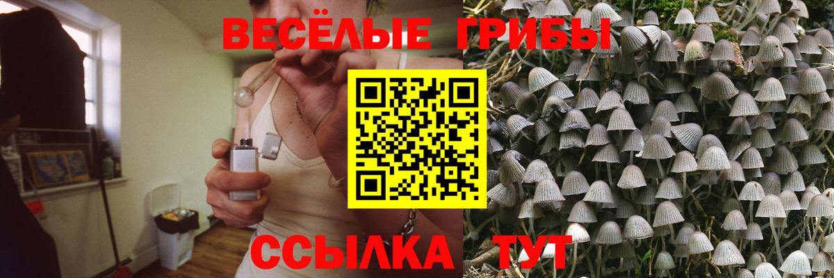 Псилоцибиновые грибы MAGIC MUSHROOMS  Псилоцибиновые грибы мицелий  Вход с VPN  Наро-Фоминск 